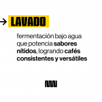 Café de especialidad Guatemala 03