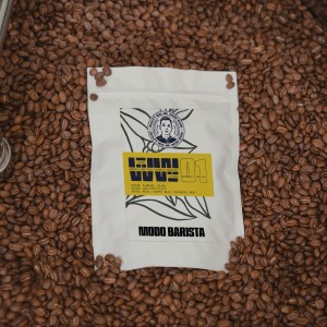 Café Especial Mr. Wush Wush 01 - Lavado