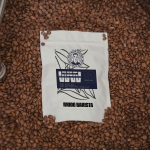 Café Especial Mr. Wush Wush 02 - Lavado Fermentado