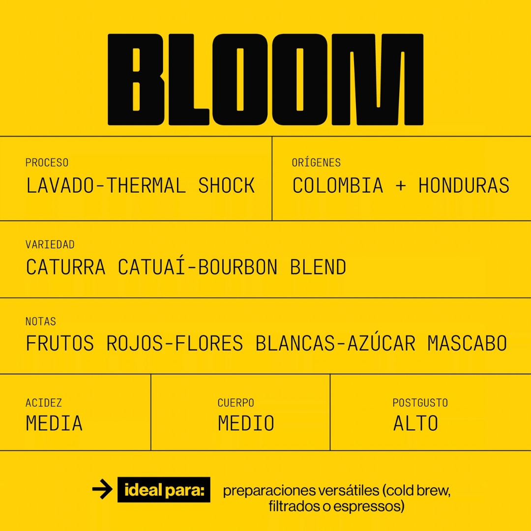 Bloom Blend - Edición de Primavera
