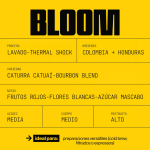 Bloom Blend - Edición de Primavera
